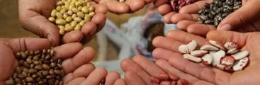 Cuidar y defender la semilla, una tarea más urgente hoy