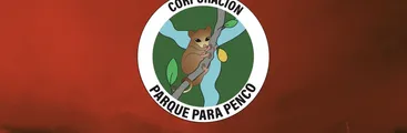 Corporación Parque para Penco: "Se quemó el parque, se quemó donde se quiere instalar la minera"