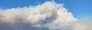 Múltiples focos de incendios forestales afectan comunas del Gran Concepción