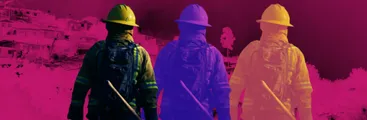 Una bomba de tiempo: forestales y gobierno sabían de más de 4 mil hectáreas de residuos acumulados en el Gran Concepción