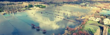 "La protección de los humedales está quedando reducida únicamente a la declaratoria legal, sin herramientas efectivas de gestión": 4ª versión del Reporte de Humedales – Región del Biobío 2026