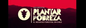 Plantar Pobreza: El negocio forestal en Chile | 11 años de un documental tristemente vigente
