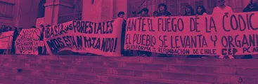 Concepción: la población se movilizó contra impactos del modelo forestal y amenazas extractivas en el Biobío y Ñuble