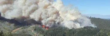 "Rancho Chico" el incendio forestal olvidado de Hualqui y dejado de lado en el Plan de Reconstrucción