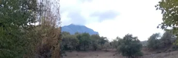 Lob Rgaliko tras desalojo: "Nuestras rukas quedaron hechas cenizas, también nuestros bienes, camas, frazadas, ropa, alimentos y herramientas"