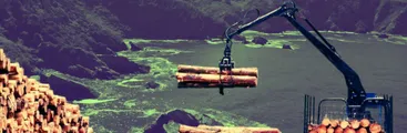 Conaf no identifica predios de empresas forestales en comuna de Hualpén