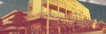 Municipalidad de Concepción no ha realizado mantención de pictogramas de pasos peatonales para personas con TEA