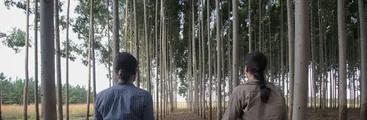 Tribunal Internacional de los Derechos de la Naturaleza dicta veredicto contra el modelo forestal en Corrientes, Argentina