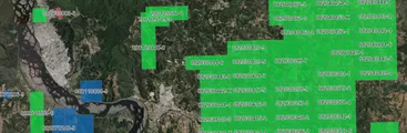 Locura por tierras raras amenaza a Parque Nonguén y últimos relictos nativos en zonas campesinas de todo Hualqui