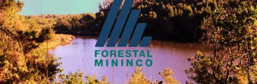 Forestal Mininco posee concesiones mineras que abarcan terrenos de INACAP y el entorno de Laguna Junquillar en San Pedro de la Paz