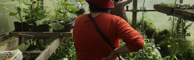 Chile será sede de XI Congreso Latinoamericano de Agroecología este 2026