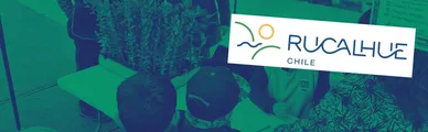 Central Rucalhue regaló árboles nativos a estudiantes mientras sus obras afectan cientos de ejemplares de especies en conservación