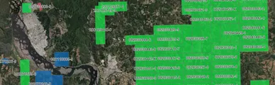 Locura por tierras raras amenaza a Parque Nonguén y últimos relictos nativos en zonas campesinas de todo Hualqui