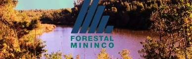 Forestal Mininco posee concesiones mineras que abarcan terrenos de INACAP y el entorno de Laguna Junquillar en San Pedro de la Paz