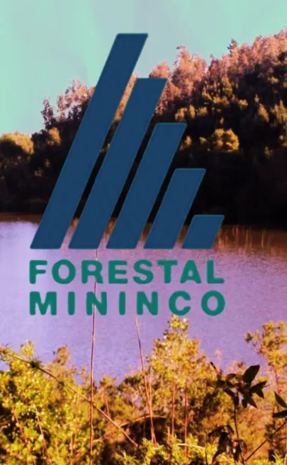 Forestal Mininco posee concesiones mineras que abarcan terrenos de INACAP y el entorno de Laguna Junquillar en San Pedro de la Paz