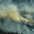 ONEMI decreta Alerta Roja para Quillón y Ránquil por incendio en plantaciones de Forestal Arauco