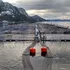 La fraudulenta certificación “Ballena segura" para lavar la imagen de las salmoneras
