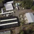 Piscicultura Sur Inversiones: Hongos, bacterias y malos olores en el estero Pichicoreo en Quilleco