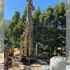 Denuncian a empresa Camanchaca S.A. por posible extracción irregular de agua del estero Collen de Tomé