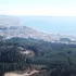 Falta de cortafuegos y volumen forestal que asfixia: La realidad territorial en parte del Gran Concepción