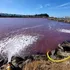Talcahuano: Seremi de salud inició sumario contra pesqueras y Essbio, tras vertimiento de residuos industriales en laguna Redacamo