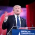 Donald perdido en su propio laberinto