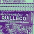 Contraloría confirma irregularidades en municipalidad de Quilleco: Doble contratación, ausencias no justificadas y cuestionamientos a concejal