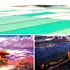 CARTAS A RESUMEN | 2023: El año del marketing verde