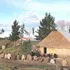 Denuncian hostigamiento de Forestal Mininco y amenaza de desalojo a familias mapuche en Ranquilhue, lago Lleu-Lleu.