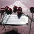 Fotoreportaje: 40 años de la Operación Alfa Carbón y la Matanza de la Vega Monumental