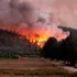 Tribunal Internacional de los Derechos de la Naturaleza declara al modelo forestal chileno culpable de violar los Derechos de la Naturaleza y los derechos bioculturales del Pueblo Mapuche