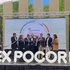 Empresas forestales se benefician con más de $70 mil millones gracias a subvenciones de CORFO y exenciones tributarias por Ley I+D