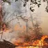 El duelo invisible tras el fuego: salud mental en medio de la crisis de los incendios en Chile