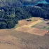 ¿Ciudad Santuario, quien se hace cargo? Grave abandono en Ecosistema Laguna Grande-Humedal Los Batros