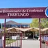 Agresión a profesora: la responsabilidad del MINEDUC y la crisis del modelo de educación privatizado