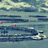 Acaparamiento extranjero del mar en Magallanes y prontuario ambiental: El costo oculto del salmón en la Patagonia Austral