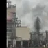 Celulosa Arauco habría confirmado que derrame en San José de la Mariquina contenía “licor verde”