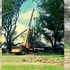 Temuco: Corte de Apelaciones declaró admisible recurso de protección de vecinos ante poda indiscriminada de árboles urbanos
