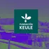 Fundación Keule sobre incendios forestales: "Si ocurre un daño, la responsabilidad recae en quien diseñó, gestionó y obtuvo beneficios del sistema productivo"