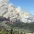 "Rancho Chico" el incendio forestal olvidado de Hualqui y dejado de lado en el Plan de Reconstrucción