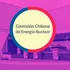 Comisión de Energía Nuclear incorporó control de emisión de radiación en su respaldo al cuestionado proyecto de tierras raras en Penco