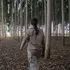 Tribunal Internacional de los Derechos de la Naturaleza dicta veredicto contra el modelo forestal en Corrientes, Argentina