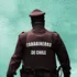 Quilaco: denuncian a carabinero por infracciones a Ley de Tenencia Responsable de Mascotas