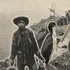 Aves guaneras: una historia de riqueza y explotación