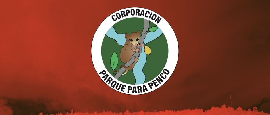 corporacion-parque-para-penco-se-quemo-el-parque-se-quemo-donde-se-quiere-instalar-la-minera.jpg