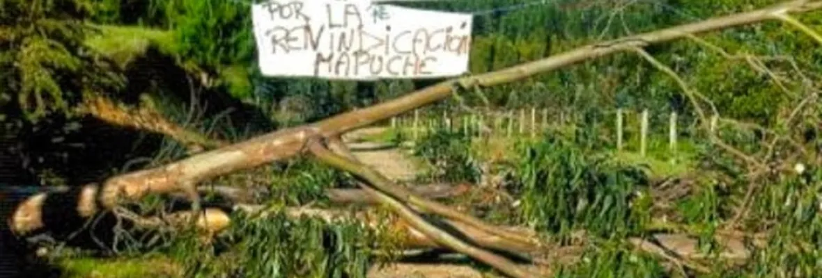 Forestal Arauco busca desalojar este martes a familias mapuche de sus terrenos en Arauco