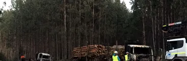 Curanilahue: ataque incendiario en predio de Forestal Arauco deja destruidos 2 camiones y una grúa