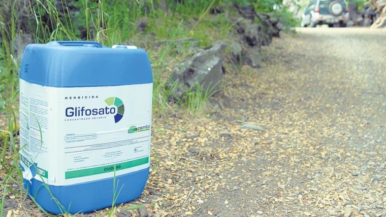 Forestal Arauco glifosato evidencia