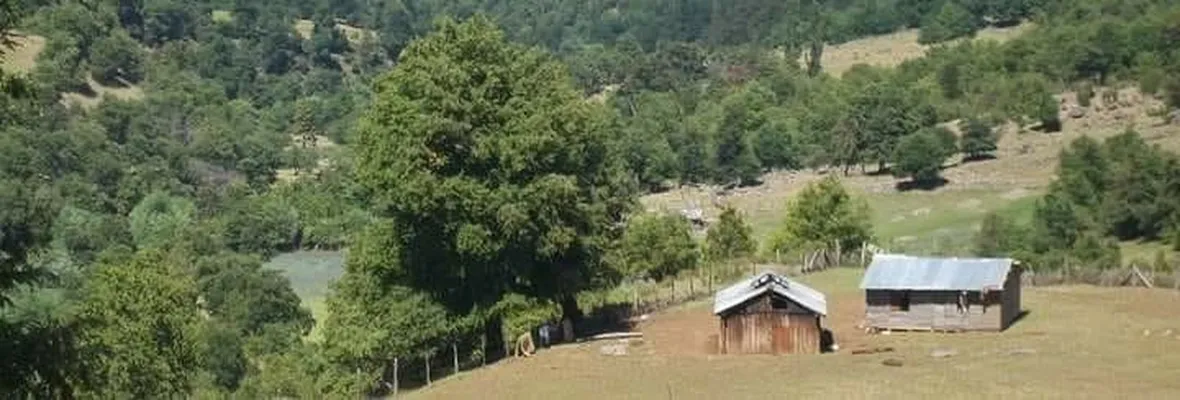 Familias pewenches de Alto Biobío ante orden de desalojo: “No vamos a abandonar el territorio”