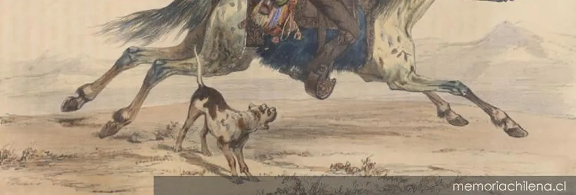 Bandidos, figura primordial del campo chileno
